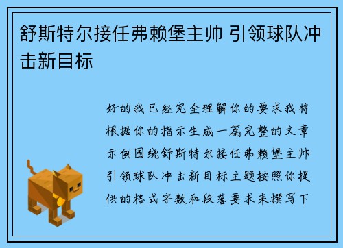 舒斯特尔接任弗赖堡主帅 引领球队冲击新目标